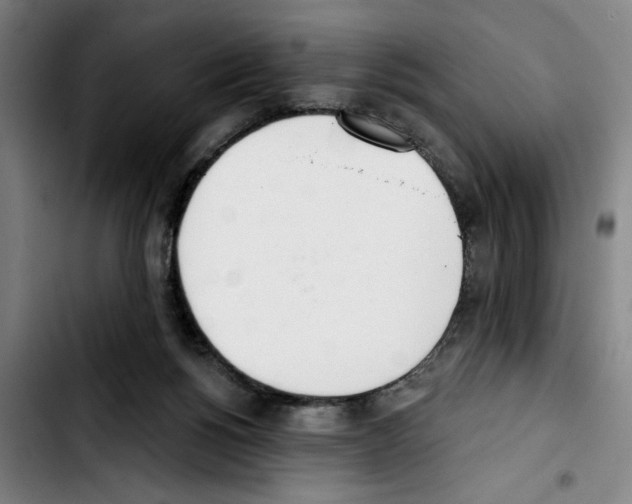 X0000103440168200810241130