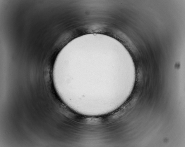 X0000103440169200810241130