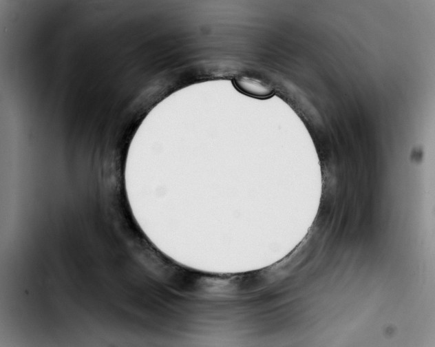 X0000103440170200810241130