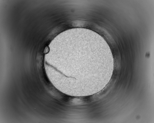 X0000103440171200810241130