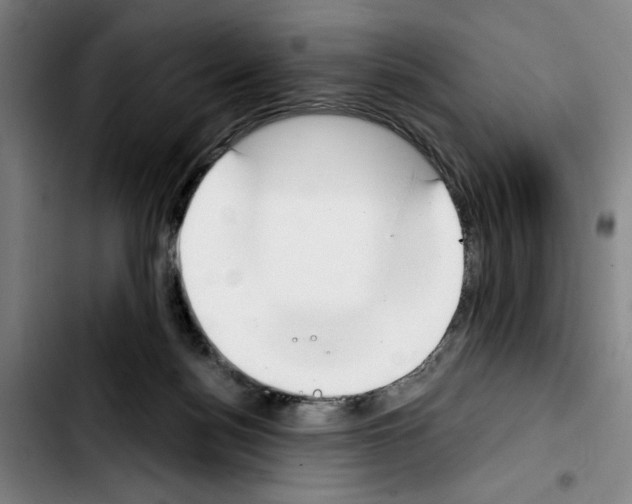 X0000103440172200810241130