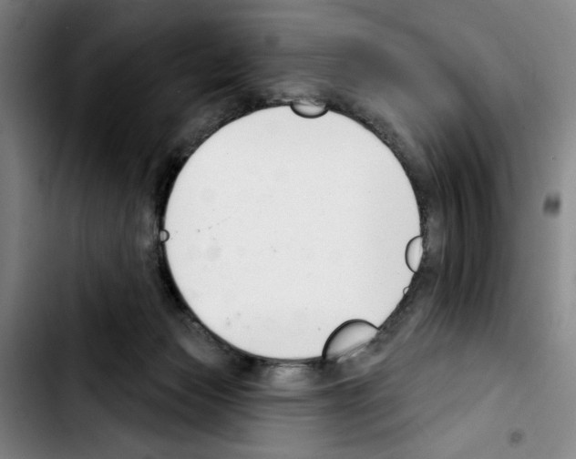 X0000103440173200810241130