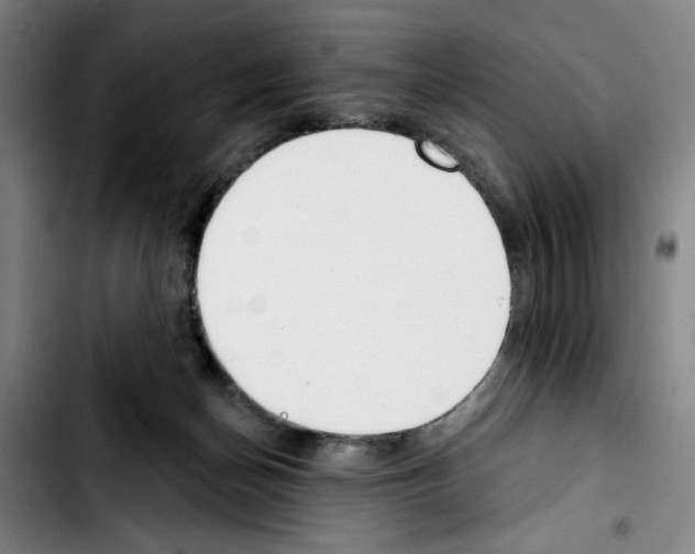 X0000103440174200810241130