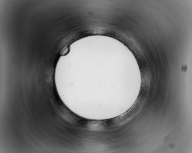 X0000103440175200810241130