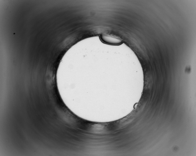 X0000103440176200810241130