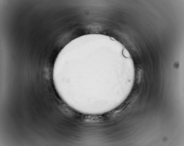 X0000103440177200810241130