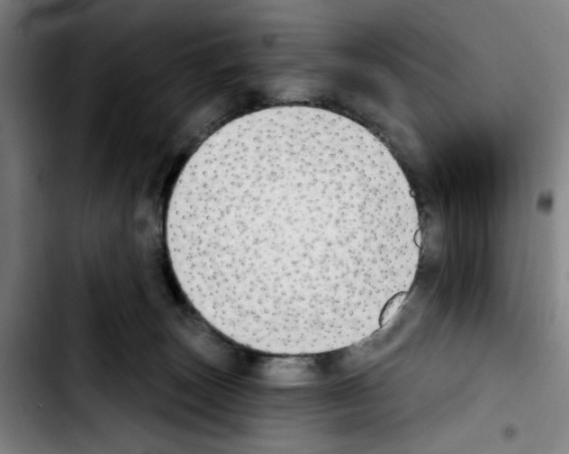 X0000103440179200810241130