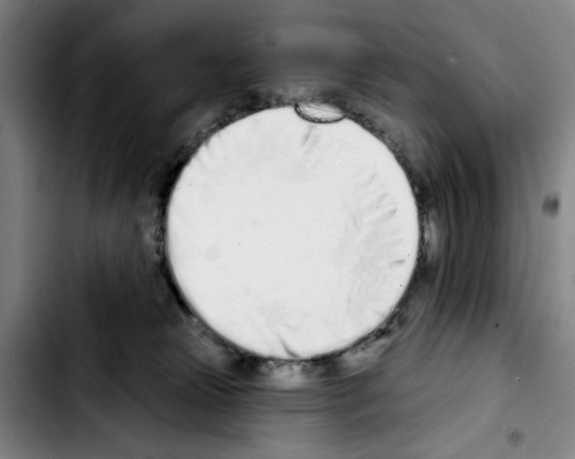 X0000103440181200810241130