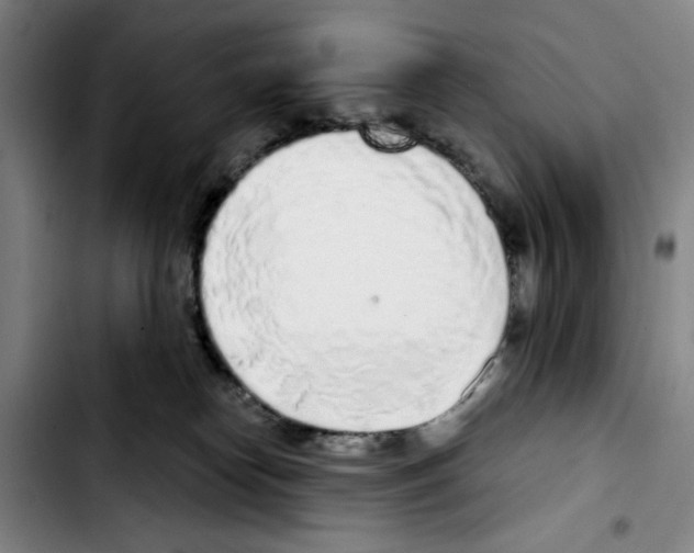 X0000103440182200810241130