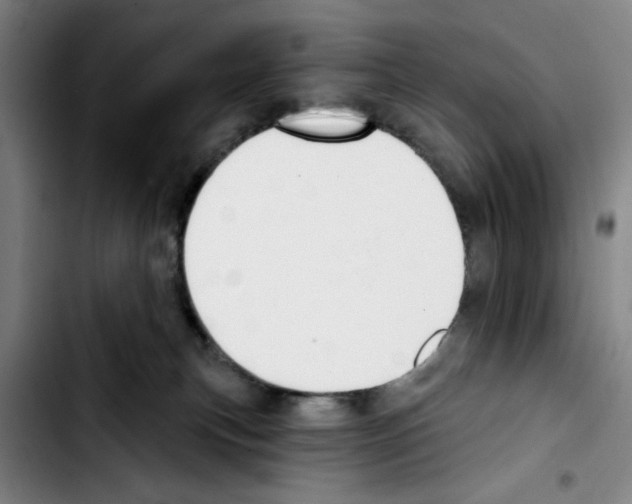 X0000103440183200810241130