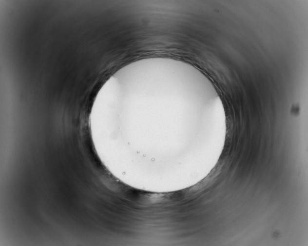 X0000103440184200810241130