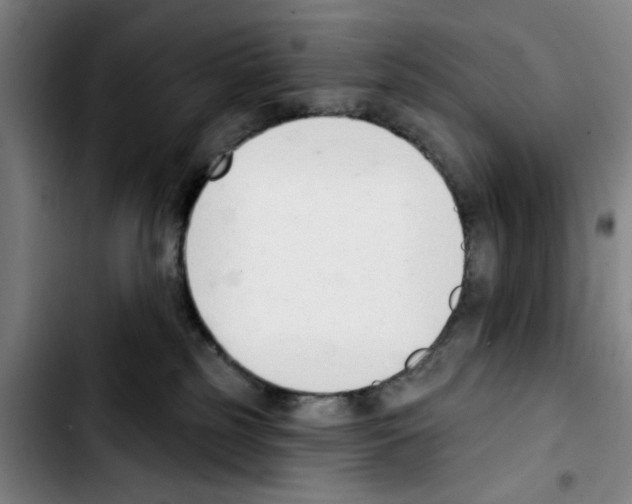 X0000103440185200810241130
