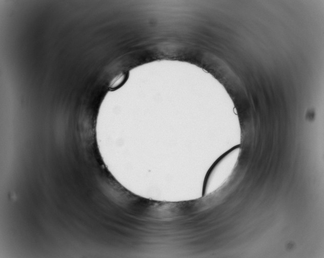 X0000103440186200810241130