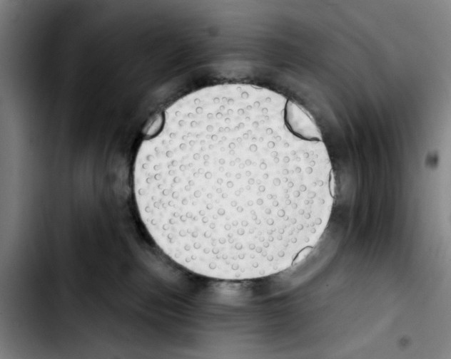 X0000103440187200810241130