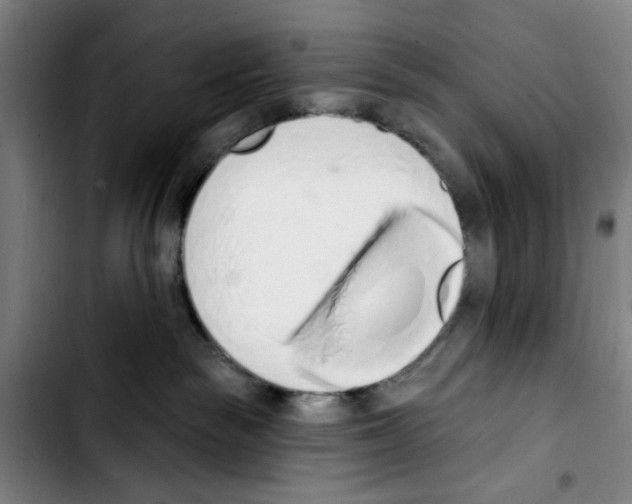 X0000103440189200810241130