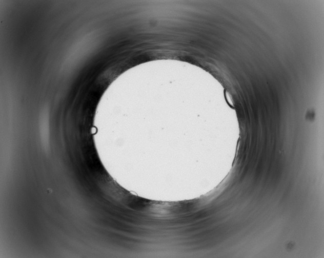 X0000103440190200810241130