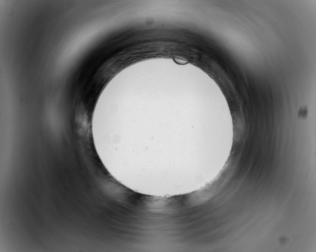 X0000103440191200810241130