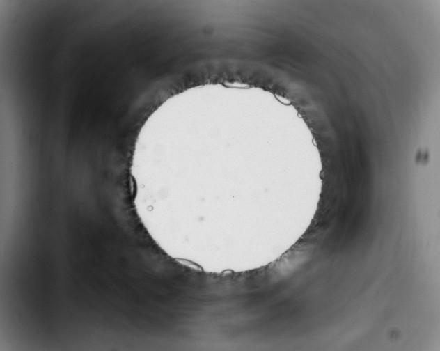 X0000103440192200810241130