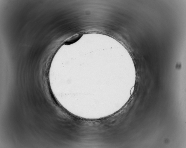 X0000103440193200810241129