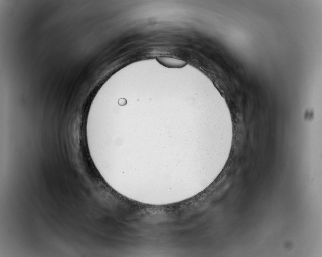 X0000103440194200810241129