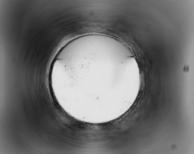 X0000103440195200810241129
