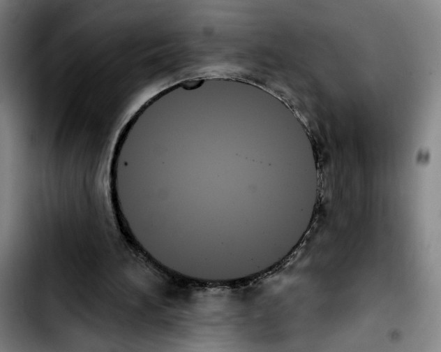 X0000103440196200810241129