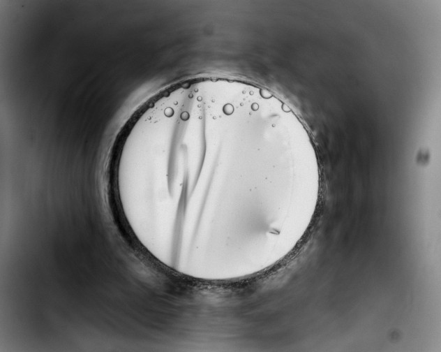 X0000103440199200810241129