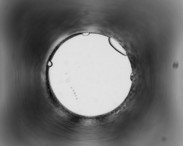 X0000103440200200810241129