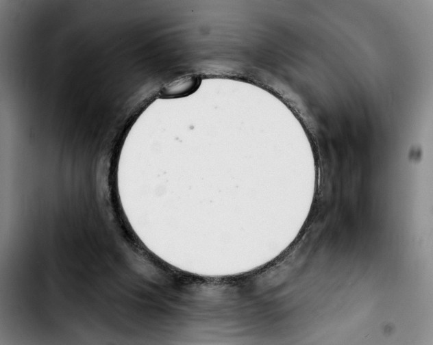 X0000103440201200810241129