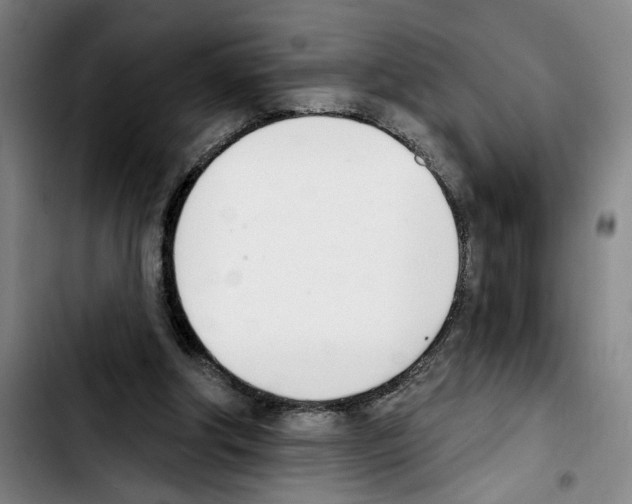 X0000103440202200810241129