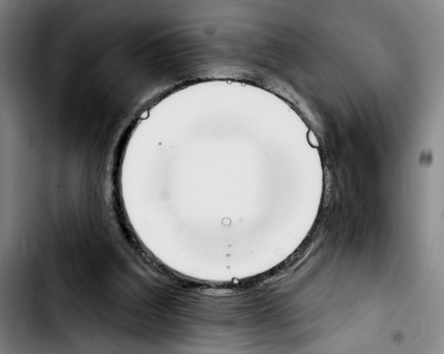 X0000103440203200810241129
