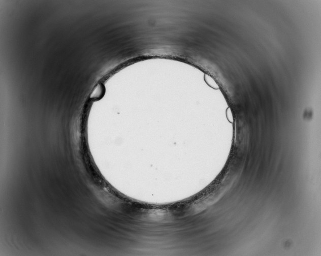X0000103440204200810241129