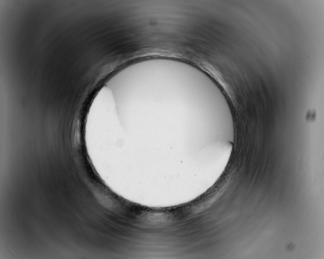 X0000103440205200810241129