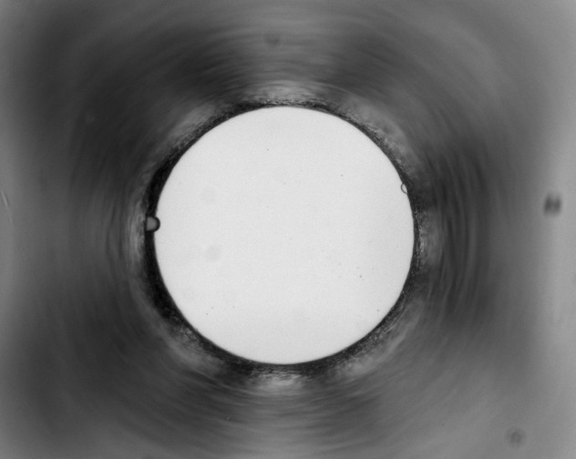 X0000103440206200810241129