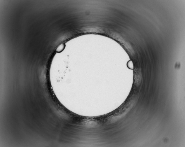 X0000103440207200810241129