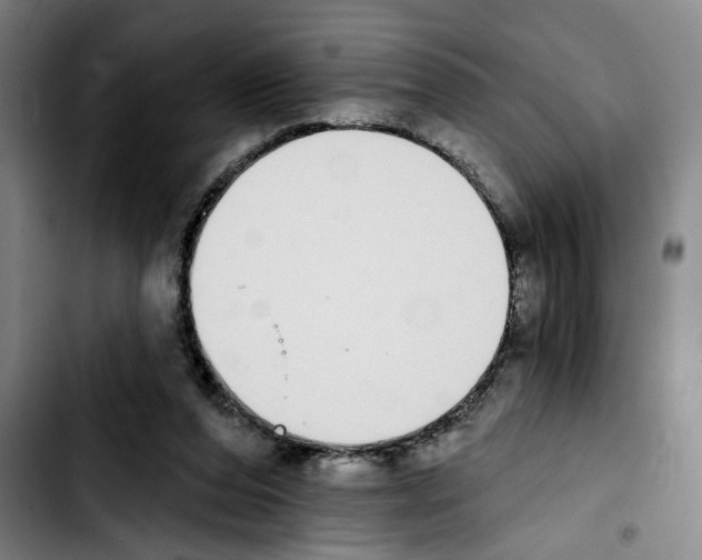 X0000103440208200810241129