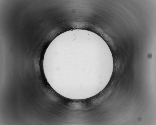 X0000103440209200810241129