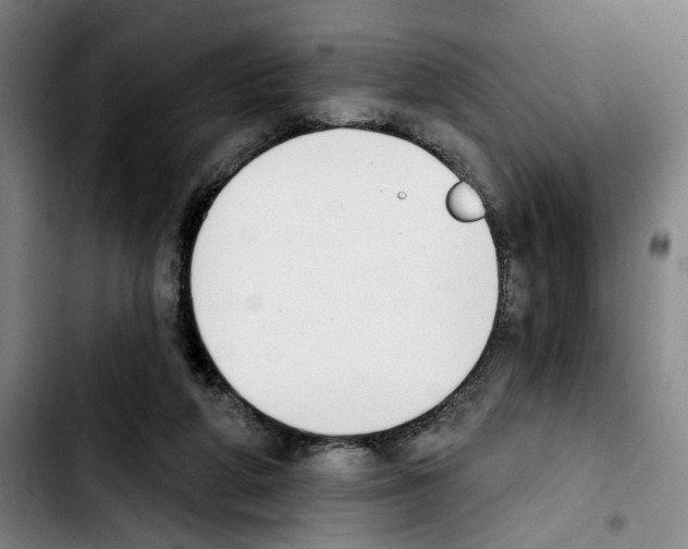 X0000103440210200810241129