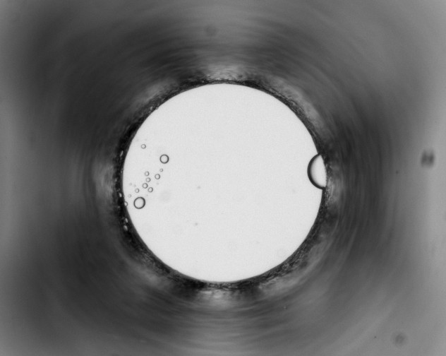 X0000103440211200810241129