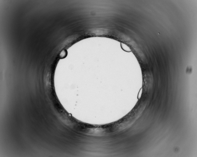 X0000103440212200810241129