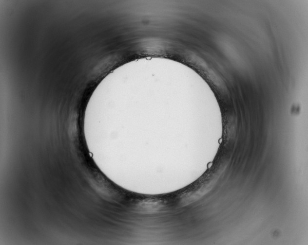 X0000103440213200810241129