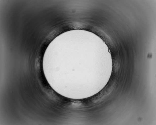 X0000103440214200810241129