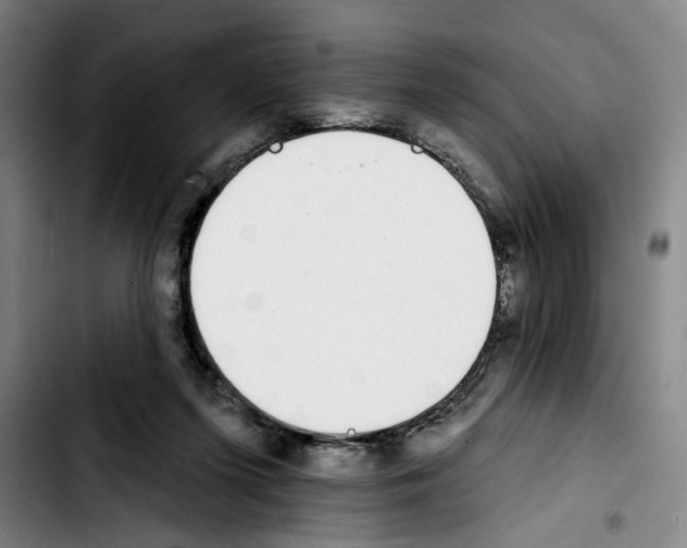 X0000103440215200810241129