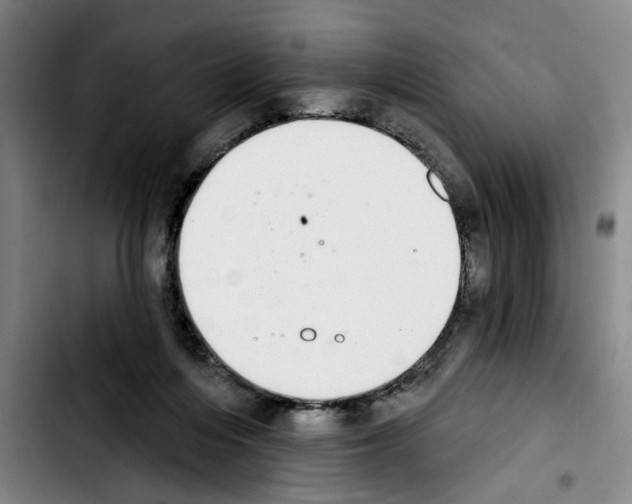 X0000103440216200810241129
