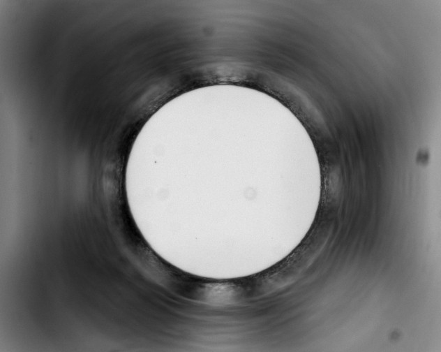 X0000103440218200810241129