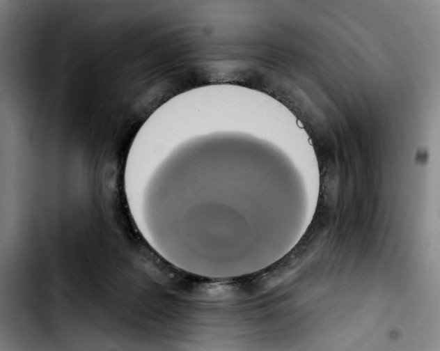 X0000103440219200810241129
