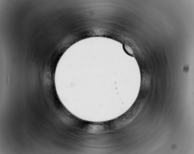 X0000103440220200810241129