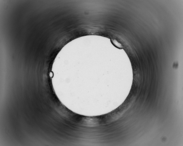 X0000103440221200810241129