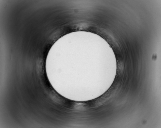 X0000103440222200810241129