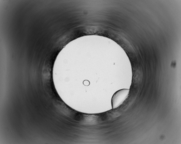 X0000103440226200810241129